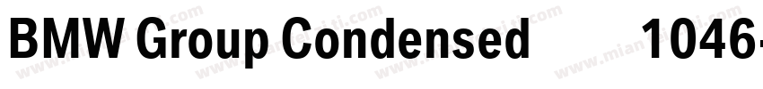 BMW Group Condensed梦祥1046字体转换